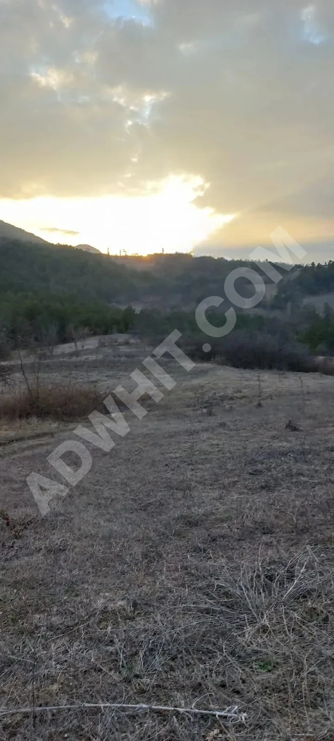 Bilecik Gölpazarı Softalar Köyü 7.969m2 Satılık Emsalsiz Orman Manzaralı Köye 800m Tarla