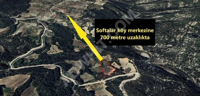 Bilecik Gölpazarı Softalar Köyü 7.969m2 Satılık Emsalsiz Orman Manzaralı Köye 800m Tarla