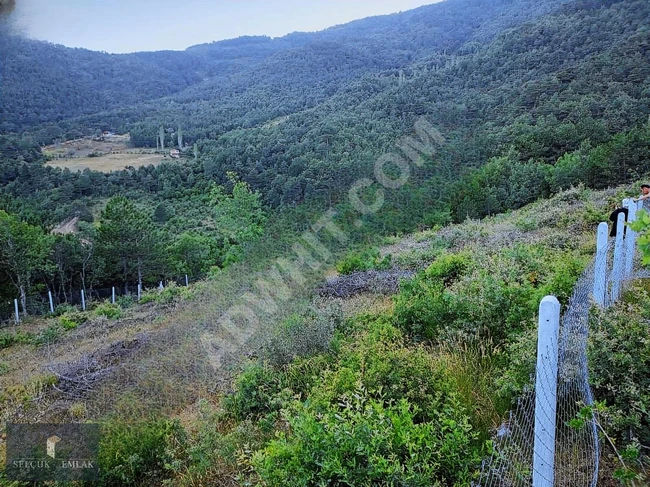 SELÇUK EMLAKTAN 2309 M2 KAÇIRILMAZ TARLA FIRSATI