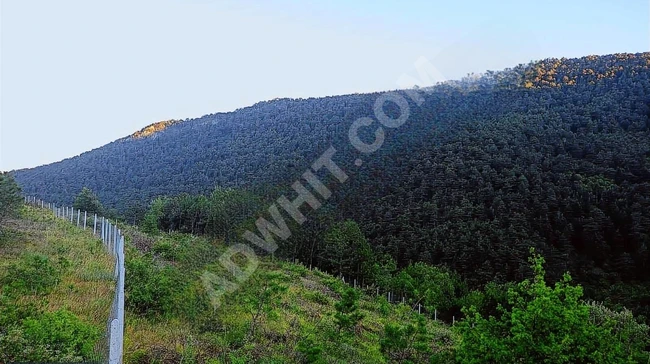 SELÇUK EMLAKTAN 2309 M2 KAÇIRILMAZ TARLA FIRSATI