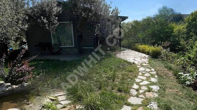 EDREMİT KAZ DAĞLARI MİLLİ PARKINDA 1513M2 BAKIMLI BAĞ BAĞÇE