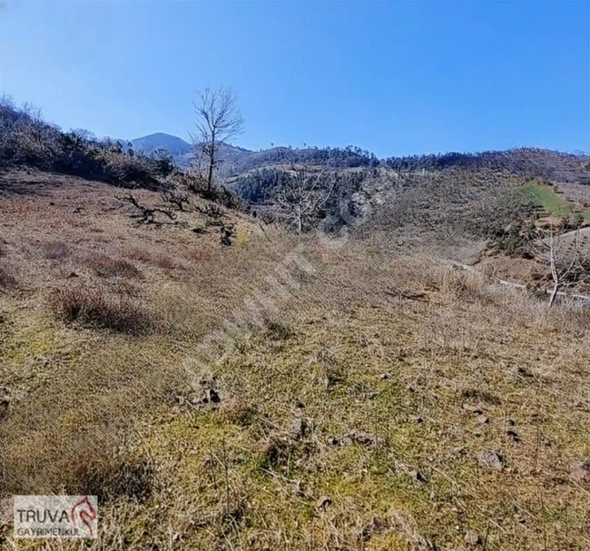 Balıkesir Bigadiç kızılçukur 2018m2 üzüm bağı köy içi yolu var