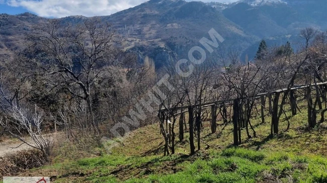 Balıkesir Bigadiç kızılçukur 2018m2 üzüm bağı köy içi yolu var
