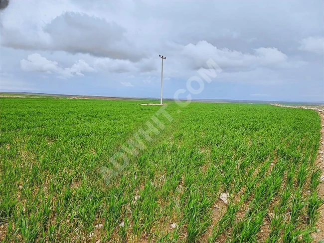 ESKİŞEHİR SEYİTGAZİ AYVALI MAHALLESİ YATIRIMLIK 34311M2 ARAZİ