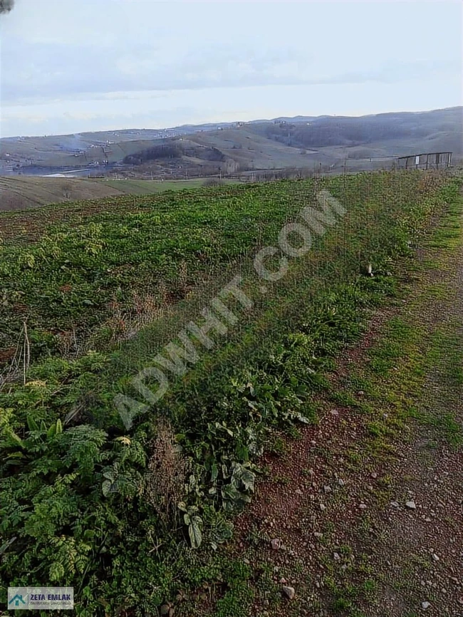 Opportunity to sell more than 3 dunams in KOCAELİ KAYNARCA