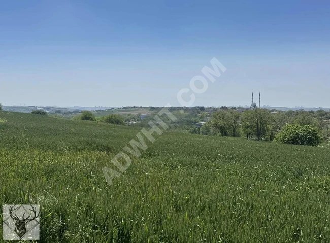 Land near the village of Çilingirde, close to the Istanbul Canal, an investment opportunity.