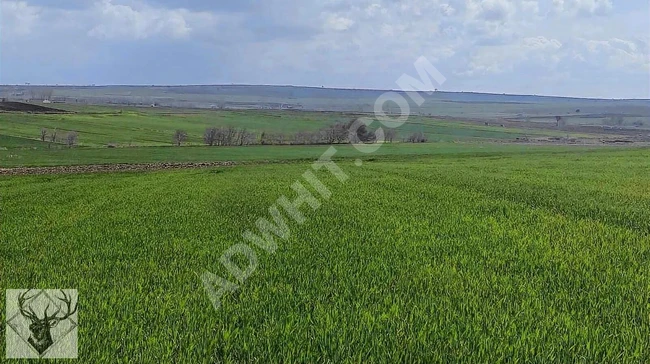 حقل للبيع بمساحة 317 متر مربع في منطقة Keşan Beyendik - بإطلالة على الطبيعة