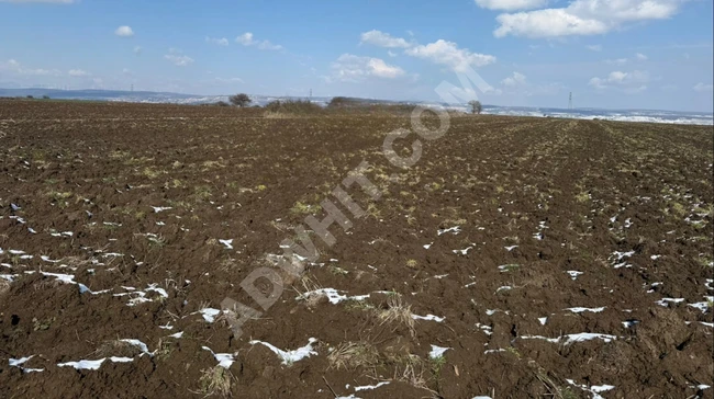 Land with a stunning view and suitable for investment! An opportunity not to be missed! Only 2.4 km from Vize center.