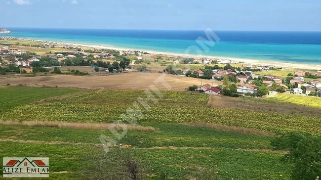 ÇATALCA YENİKÖYDE SATILIK 31DÖNÜM FIRSAT ACİL