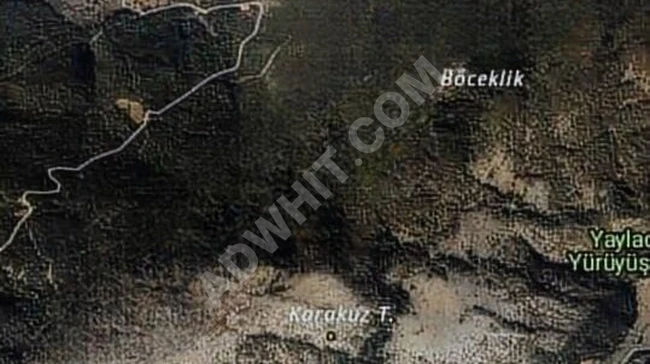 BİLECİK GÖLPAZARI GÖLDAĞI KÖYÜNDE SATILIK ARAZİ