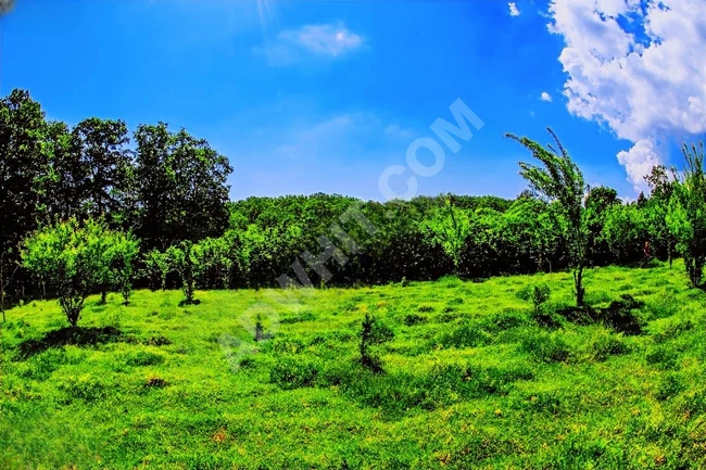 AYBARS'DAN KIRKLARELİ İĞNEADA'DA 8.633 M2 SATILIK BAHÇE VE TARLA