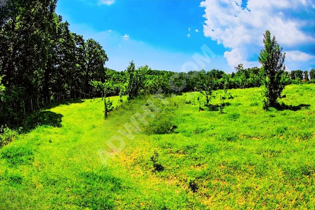 AYBARS'DAN KIRKLARELİ İĞNEADA'DA 8.633 M2 SATILIK BAHÇE VE TARLA