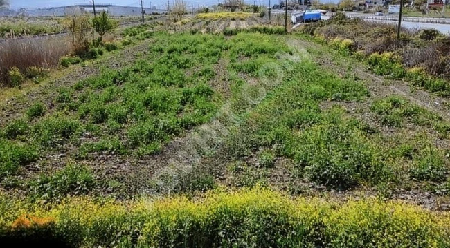 ADAPAZARI BİLECİK OTOYOLU ÜZERİNDE SATILIK İMARLI ARSA