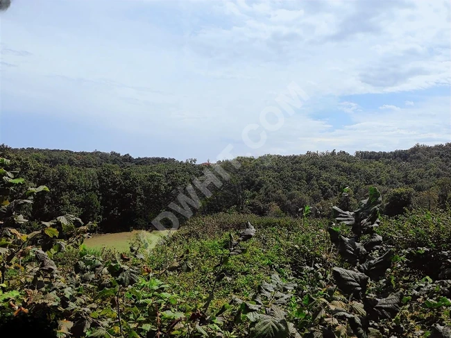 AYBARS'DAN KIRKLARELİ İĞNEADA'DA 8.633 M2 SATILIK BAHÇE VE TARLA