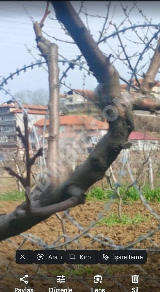 Yalova Acill!!! Çitlikköy Taşköprü Köyaltı Mevkii Satılık Kelepir Villa Arsası 660 Metre Müstakil
