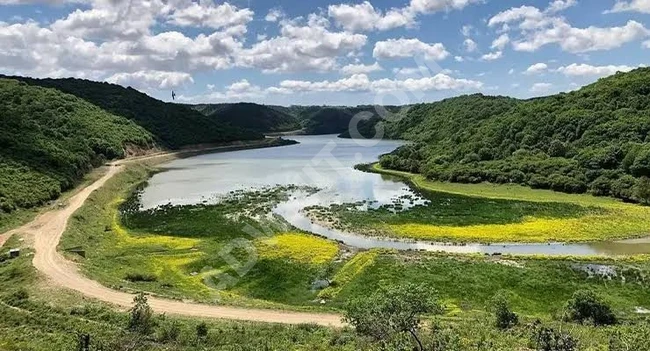 Yatırımlık Arsa — Piyasa Fiyatının Yarımında, Dursun Köyü’nde