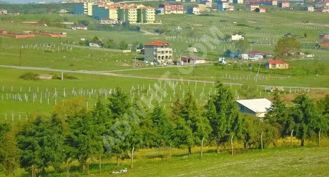 Yatırımlık Arsa — Piyasa Fiyatının Yarımında, Dursun Köyü’nde