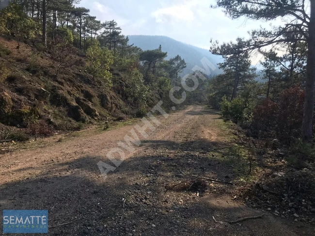 SATILIK MÜSTAKİL TARLA BALIKESİR HAVRANDA 8100 M²