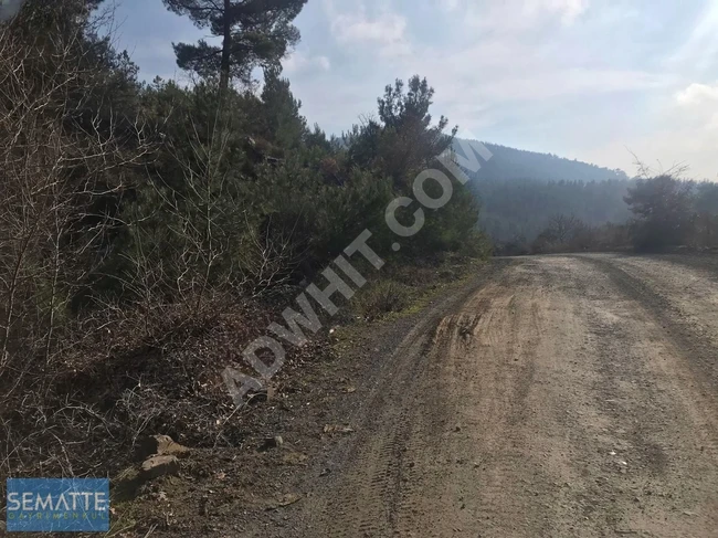 SATILIK MÜSTAKİL TARLA BALIKESİR HAVRANDA 8100 M²