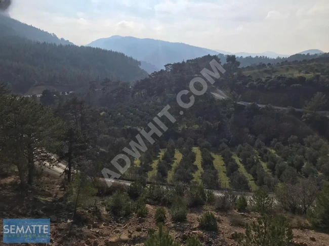 SATILIK MÜSTAKİL TARLA BALIKESİR HAVRANDA 8100 M²