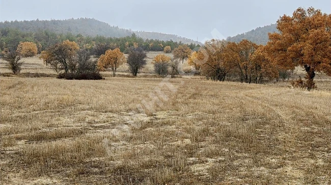 BOLU GÖYNÜK KARAARDIÇ'TA 4.921 M2 UYGUN ARSA