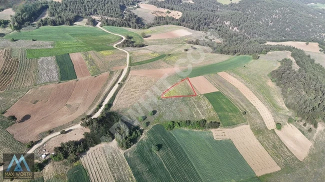 SAKARYA GEYVE GÜNHOŞLAR SATILIK 1570M2 MÜSTAKİL PARSEL