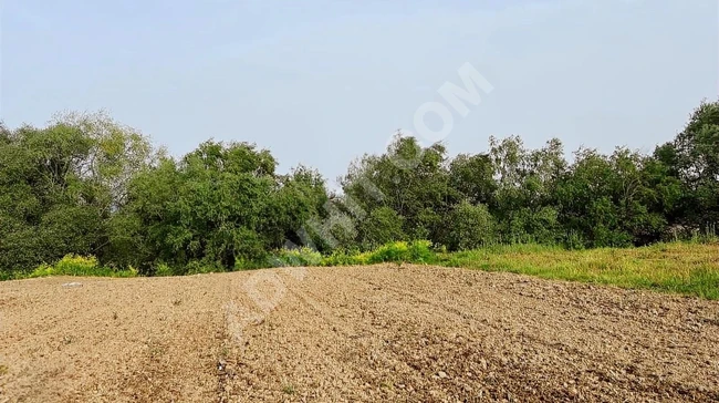 BALIKESİR SUSURLUK DEREKÖY'DE 3.807 M2 UYGUN ARSA