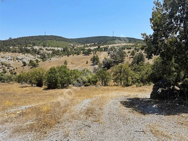 A suitable plot of land with an area of 6,466 square meters on the main road in KÜTAHYA TAVŞANLI.
