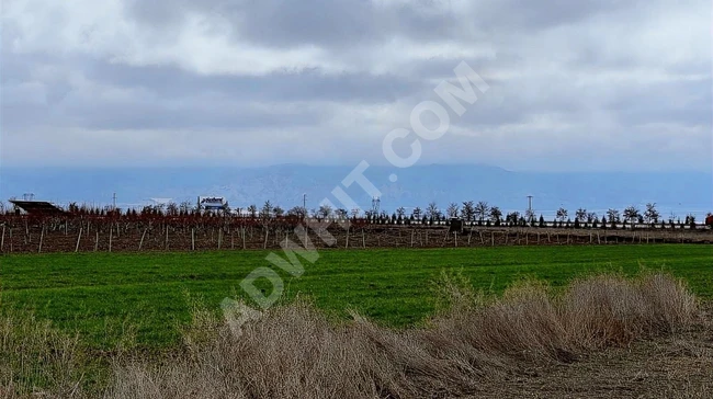 A suitable plot of land in ISPARTA KEÇİBORLU, 400 meters from the AFYON road.