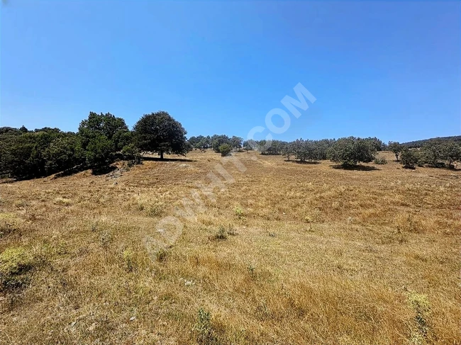 A suitable plot of land with an area of 6,466 square meters on the main road in KÜTAHYA TAVŞANLI.