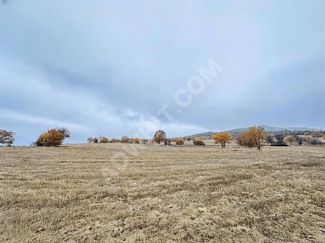 BOLU GÖYNÜK KARAARDIÇ'TA 4.921 M2 UYGUN ARSA