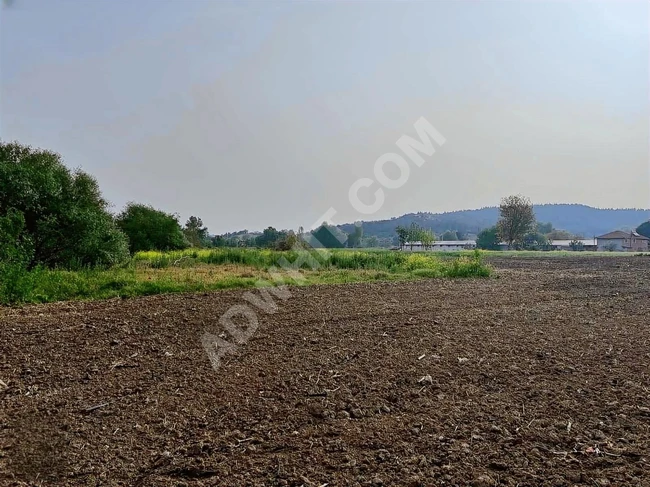 BALIKESİR SUSURLUK DEREKÖY'DE 3.807 M2 UYGUN ARSA