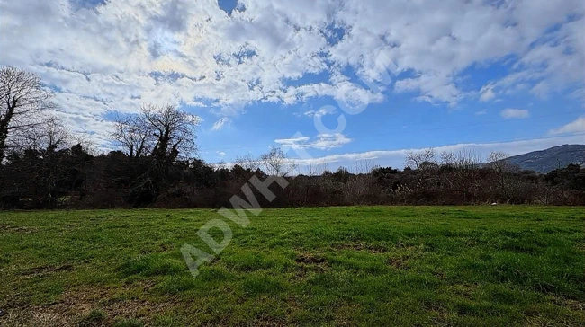 A land with an area of 5,112 square meters in Balıkesir Erdek Karşıyaka.