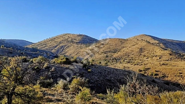 AFYONKARAHİSAR ŞUHUT MERKEZE YAKIN 42.103 M2 UYGUN ARSA