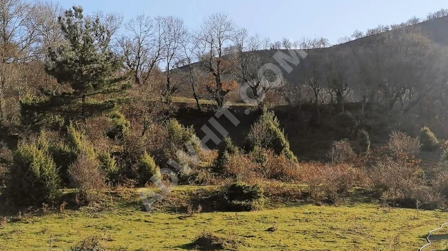 BALIKESİR İVRİNDİ'DE 25.391 M2 UYGUN ARSA