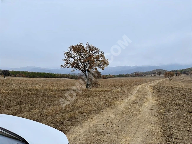 BOLU GÖYNÜK KARAARDIÇ'TA 4.921 M2 UYGUN ARSA
