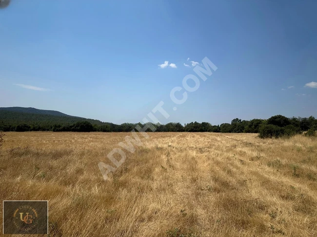 TEKİRDAĞ MALKARA SARIPOLAT 7.157 M2 UYGUN ARSA
