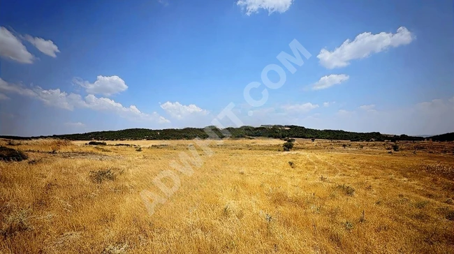 TEKİRDAĞ MALKARA SARIPOLAT 7.157 M2 UYGUN ARSA