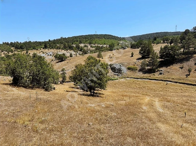 A suitable plot of land with an area of 6,466 square meters on the main frontage of KÜTAHYA TAVŞANLI road.