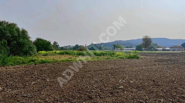 A suitable plot of land with an area of 3,807 square meters in Balıkesir Susurluk Dereköy.
