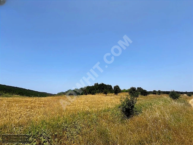 A suitable plot of land with an area of 10,000 square meters on the road in ÇANAKKALE BİGA.
