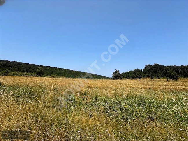 A suitable plot of land with an area of 10,000 square meters on the road in ÇANAKKALE BİGA.