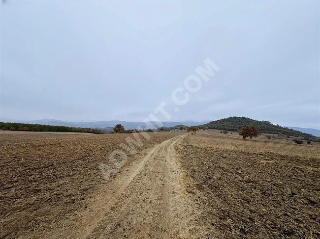 BOLU GÖYNÜK KARAARDIÇ'TA 4.921 M2 UYGUN ARSA