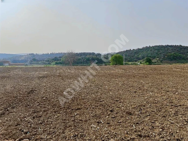 A suitable plot of land with an area of 3,807 square meters in Balıkesir Susurluk Dereköy.