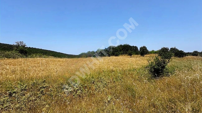 A suitable plot of land with an area of 10,000 square meters on the road in ÇANAKKALE BİGA.