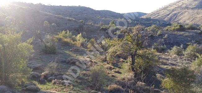 AFYONKARAHİSAR ŞUHUT MERKEZE YAKIN 42.103 M2 UYGUN ARSA