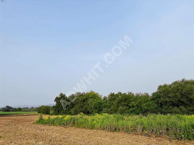 A suitable plot of land with an area of 3,807 square meters in Balıkesir Susurluk Dereköy.