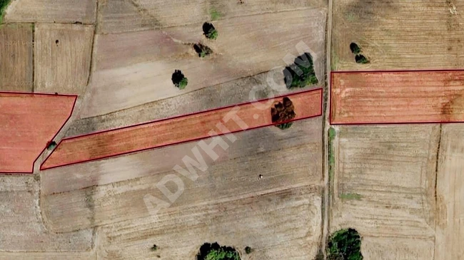 A suitable plot of land with an area of 7,624 square meters in Edirne Uzunköprü Meşeli.