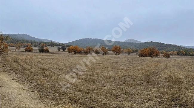 BOLU GÖYNÜK KARAARDIÇ'TA 4.921 M2 UYGUN ARSA