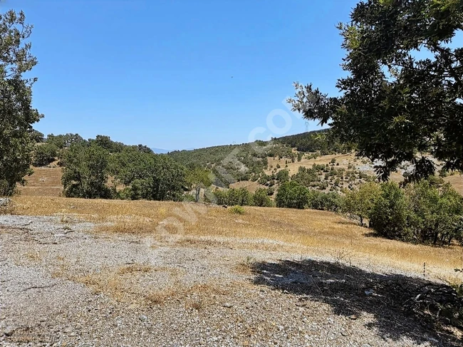 A suitable plot of land with an area of 6,466 square meters on the main frontage of KÜTAHYA TAVŞANLI road.